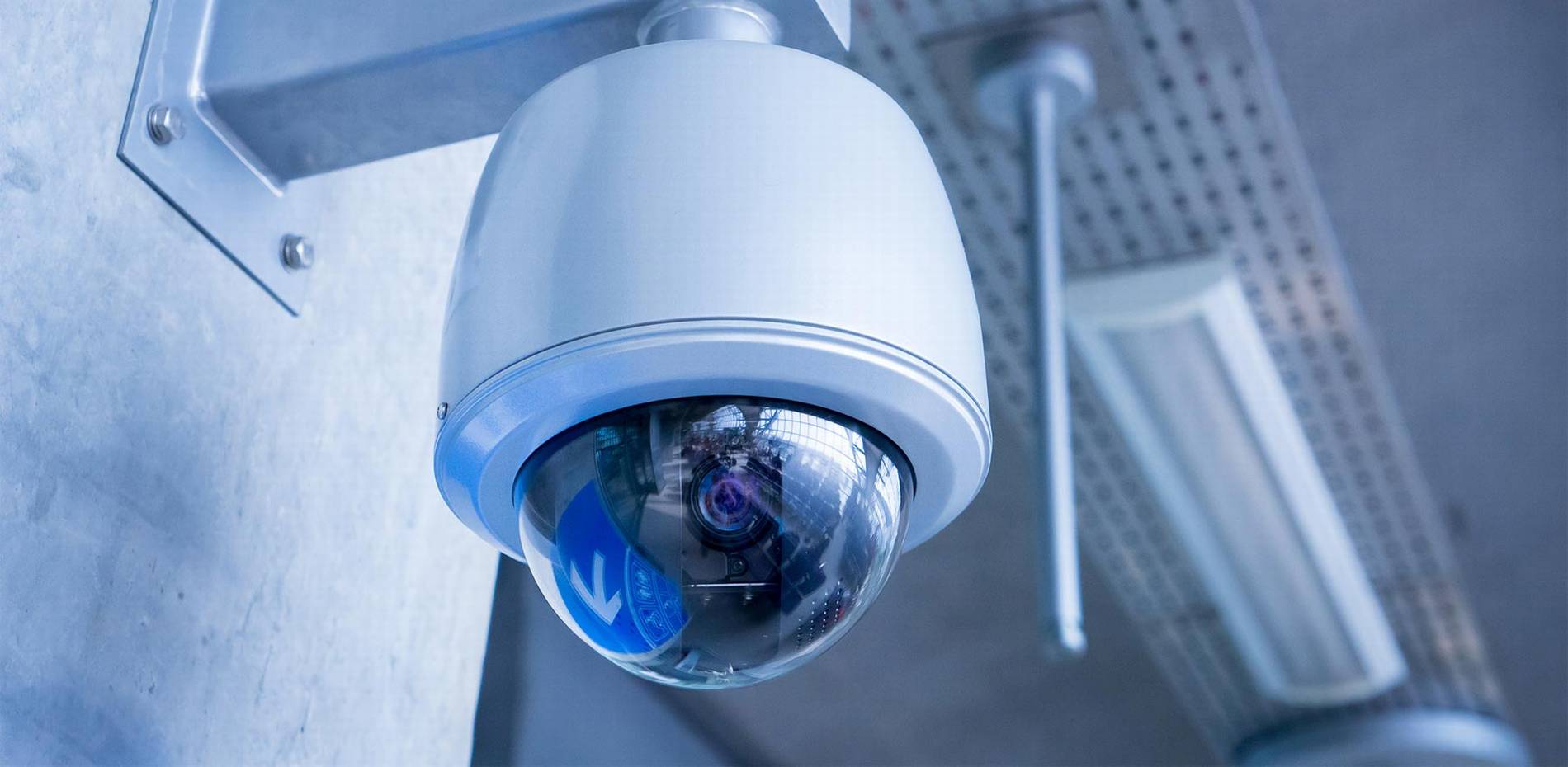 #1 Best Security Camera Company: CAT6 CAT7 CAT8 Network vs Wiring Installer Low Voltage Fiber Optic Naples